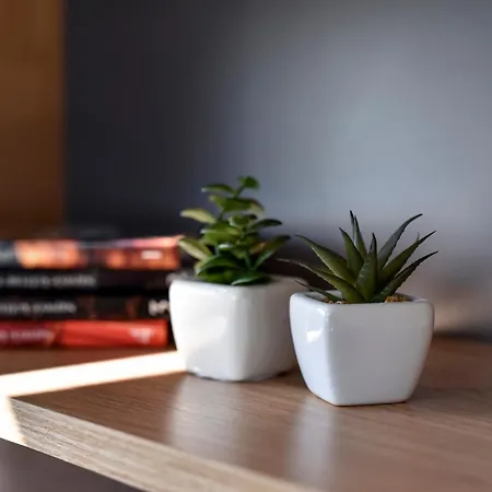 Fux Luxury Infinty-pool * Zadar