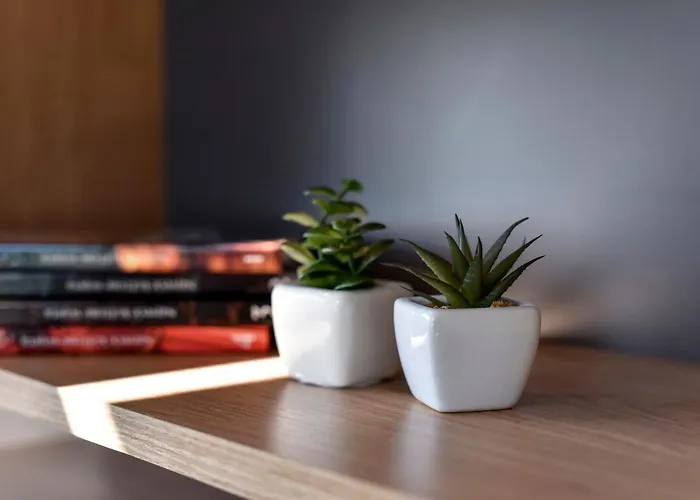 Fux Luxury Infinty-pool * 扎达尔